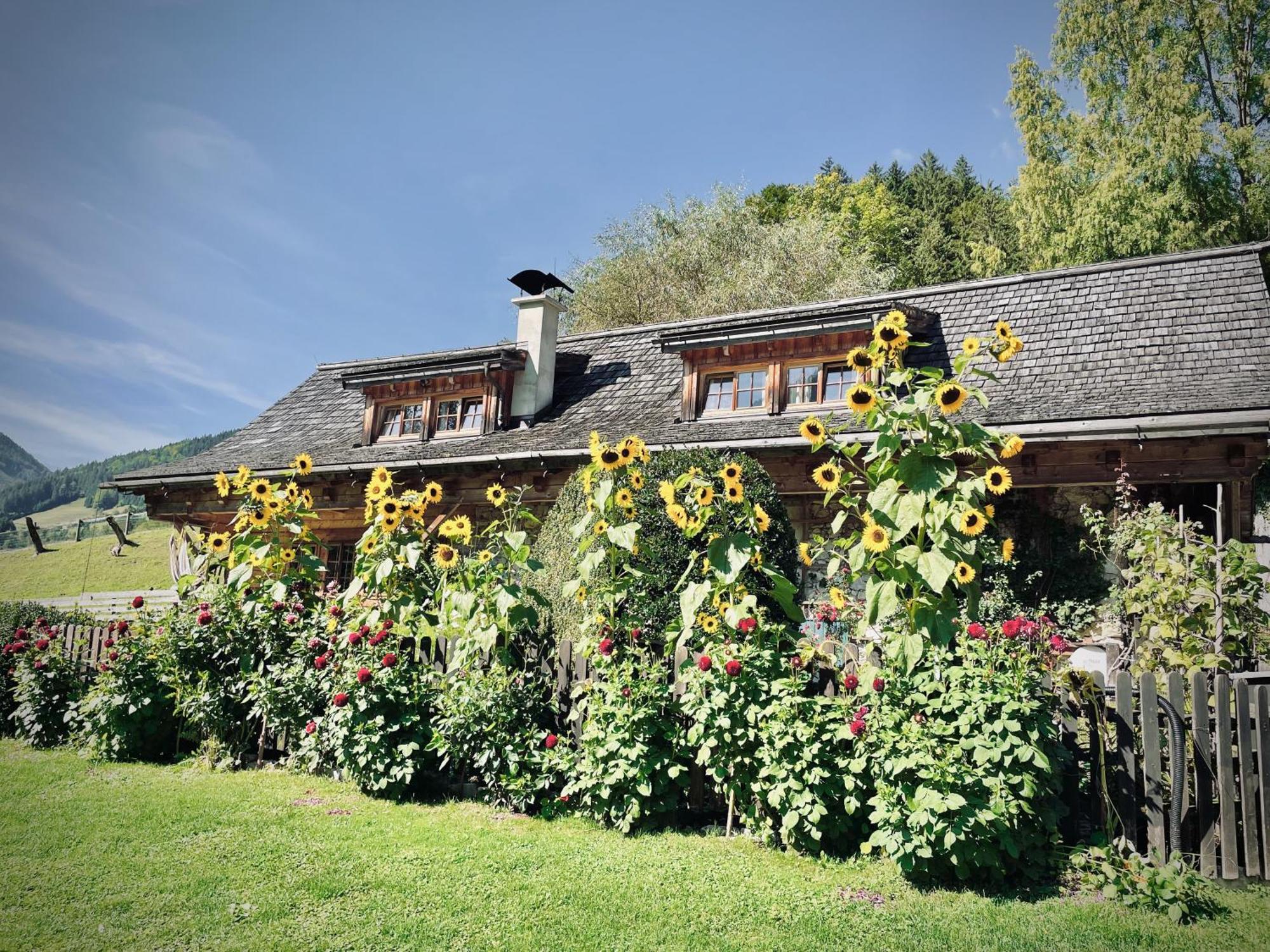 Rafting Camp Palfau Guest House Exterior photo